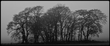 The Cairnhill mist.JPG