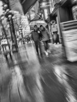 Nov 13-25 (27 of 39).JPG