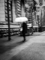 Nov 13-25 (7 of 39).JPG Nov 13-25 (7 of 39).JPG