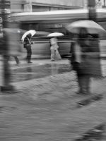 Nov 13-25 (4 of 39).JPG