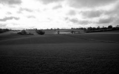 Snapper's Choice.jpg