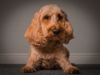 2025-11-14 21.57.20-2.jpg