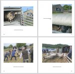 Screenshot 2025-11-15 at 15-46-47 SquareBook - SquareBook.pdf.jpg Screenshot 2025-11-15 at 15-46-47 SquareBook - SquareBook.pdf.jpg