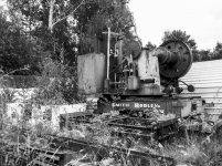 Looking for Love.jpg