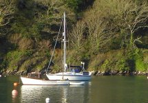 P1020754c.jpg P1020754c.jpg