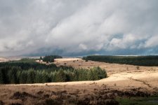 008 Bellever Tor (View Back to Kraps Ring) 02-3756 PS Adj Upload.jpg