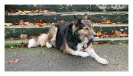 Minolta X700 Tokina 28-70 Fuji 400-000089630012-Edit.JPG