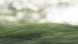 Week 47 - Abstract  The Flowing Field.JPG