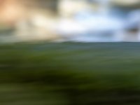 Week 47 - Abstract Evening in the Field.JPG Week 47 - Abstract Evening in the Field.JPG