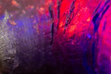 Week 48-4.jpg Week 48-4.jpg