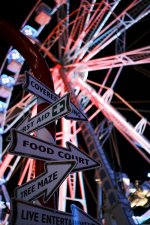 DSCF9246.jpeg DSCF9246.jpeg