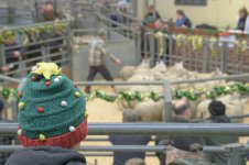 _7813393.jpg _7813393.jpg