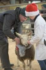 _7813376.jpg _7813376.jpg