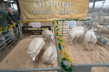 _SON0814.jpg _SON0814.jpg