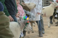 _7813370-2.jpg _7813370-2.jpg