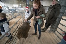 _SON0801-2.jpg _SON0801-2.jpg