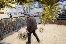 _SON0834-2.jpg _SON0834-2.jpg