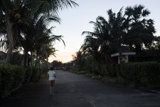 DSC00734.jpg DSC00734.jpg