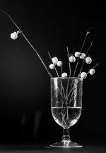 week 49 high contrast.jpg