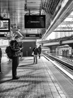 Week 48 - High Contrast 2.JPG