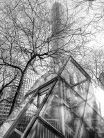 Week 48 - High Contrast 4.JPG Week 48 - High Contrast 4.JPG