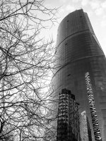 Week 48 - High Contrast 5.JPG