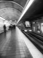 Week 48 - High Contrast 7.JPG