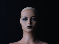 2025-12-11 19.50.22.jpg