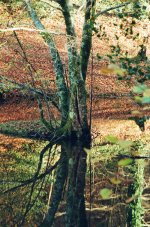 Chateau Neiul Tre Reflection PTF Contarex 50T.jpg