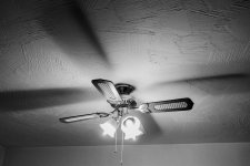 001 Light & Shadow 01-9982 PS Adj Upload.jpg