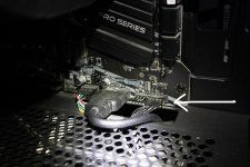 IMG_0695 tp.jpg IMG_0695 tp.jpg