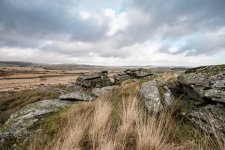 023 Blakey Tor 08-1857 PS Adj Upload.jpg