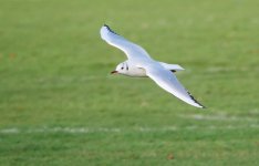 14 12 2025 04.JPG 14 12 2025 04.JPG