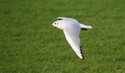 14 12 2025 06.JPG 14 12 2025 06.JPG