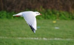 14 12 2025 07.JPG 14 12 2025 07.JPG