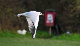 14 12 2025 08.JPG 14 12 2025 08.JPG