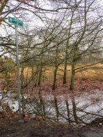 Week 49 - Past 1.JPG