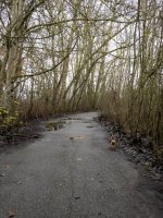 Week 49 - Past 2.JPG