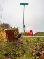 Week 49 - Past 4.JPG