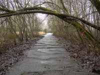 Week 50 - Past-120043.JPG