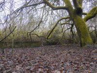 Week 50 - Past-120046.JPG