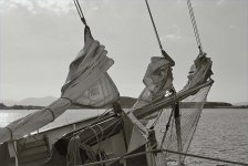 2025-05-18-0030-copy-2.jpg 2025-05-18-0030-copy-2.jpg