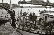 2025-05-18-0031-copy.jpg-tp.jpg 2025-05-18-0031-copy.jpg-tp.jpg