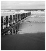 Portfolio 4_ Found_2412_D2.JPG Portfolio 4_ Found_2412_D2.JPG