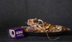 Glimps into future.jpg