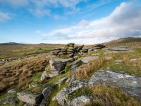 026 Over Tor 01-3426 PS Adj Upload.jpg