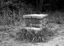 StoneStep.jpg StoneStep.jpg