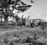 img215-copy.jpg-tp.jpg img215-copy.jpg-tp.jpg