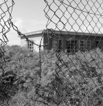 img216-copy.jpg-tp.jpg img216-copy.jpg-tp.jpg