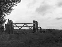 Farm Gate.jpg Farm Gate.jpg